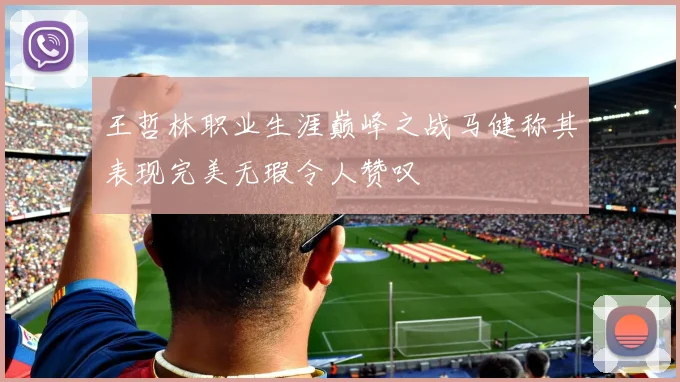 王哲林职业生涯巅峰之战马健称其表现完美无瑕令人赞叹
