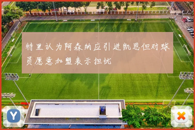 特里认为阿森纳应引进凯恩但对球员愿意加盟表示担忧